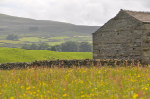 Dales Barn and Meadow