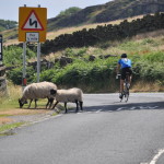 cycling yorkshire