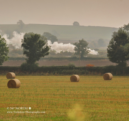 Wensleydale steam train in the countryside near Leyburn